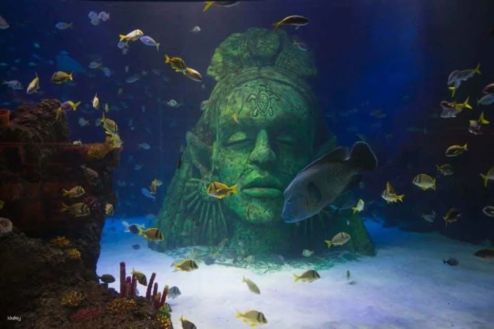 SEA LIFE Manchester entrance tickets