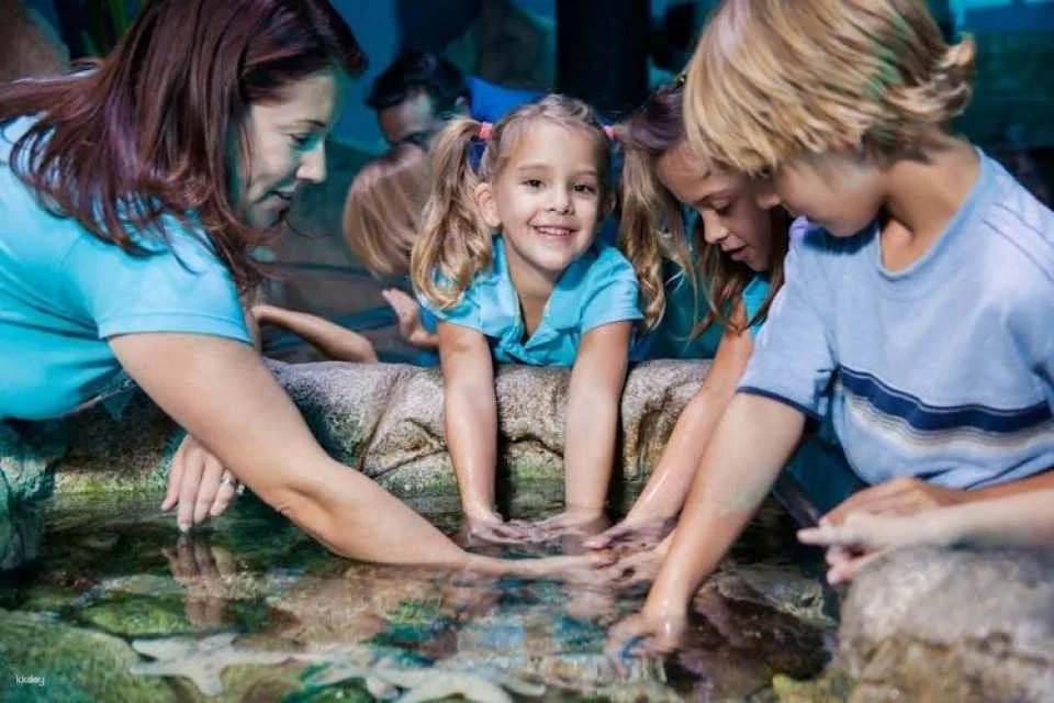 SEA LIFE Manchester entrance tickets