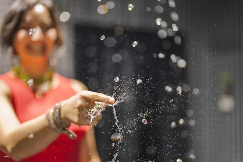 Tickets for museum of senses in Milan