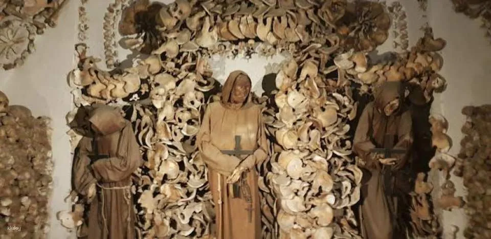 Catacombs and Capuchin Crypt Guided Tour with Transfer