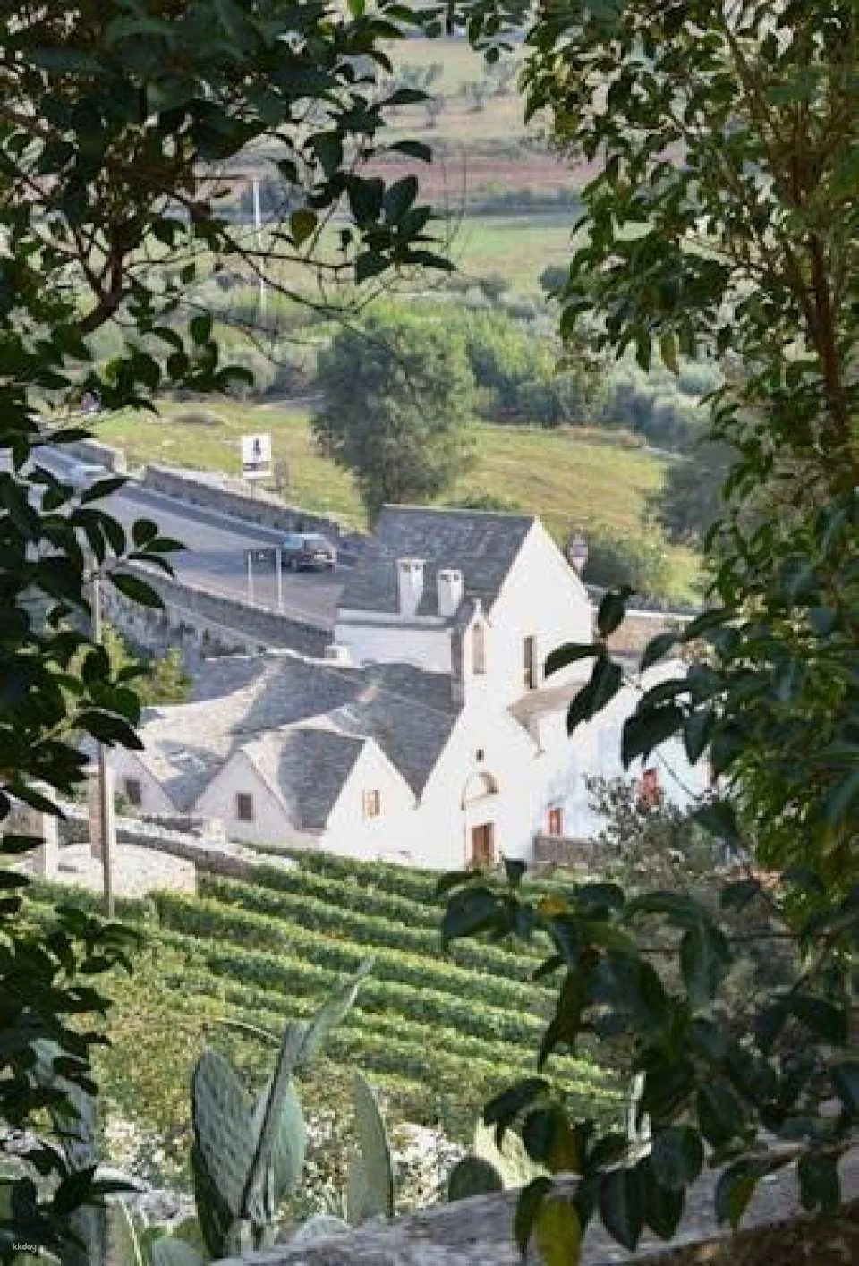 Locorotondo tour with tasting of local products