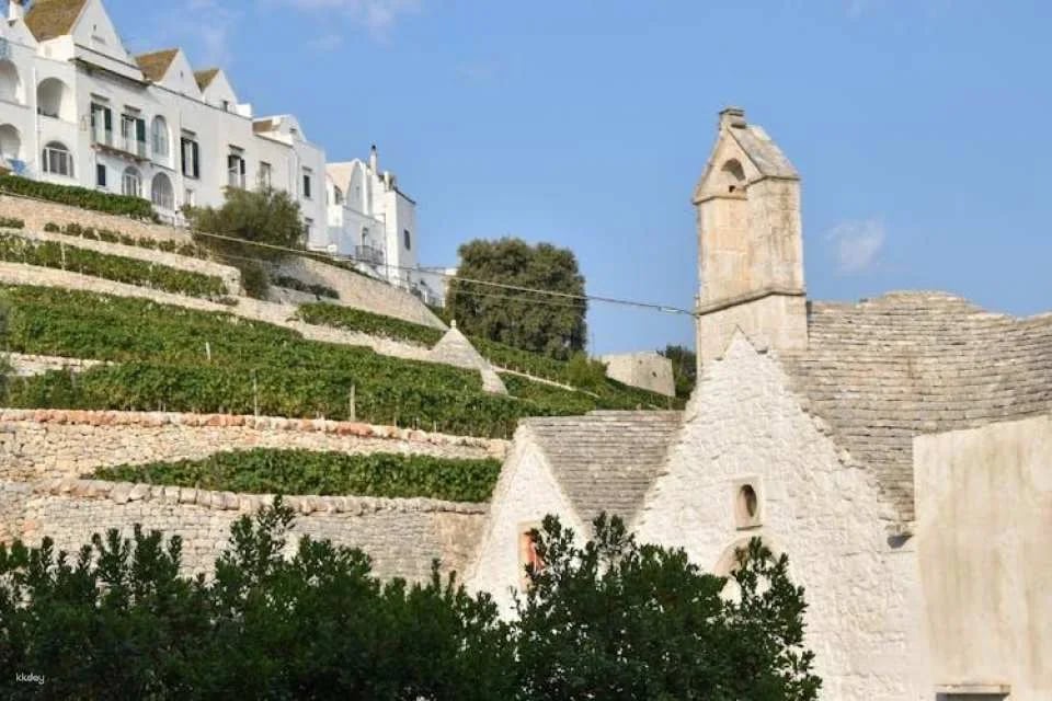 Locorotondo tour with tasting of local products