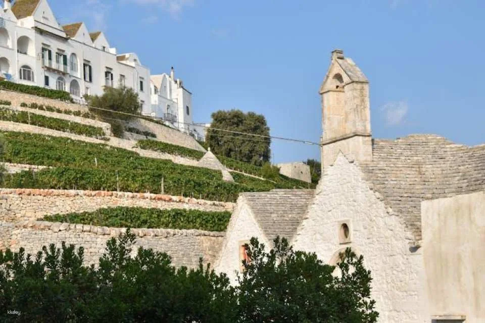 Locorotondo tour with tasting of local products