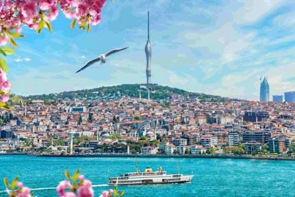 Istanbul Camlica Tower Entry Ticket with Free Tea or Turkish Coffee