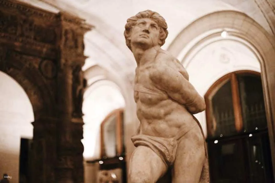 Louvre Museum Private Guided Tour with Reserved Entry