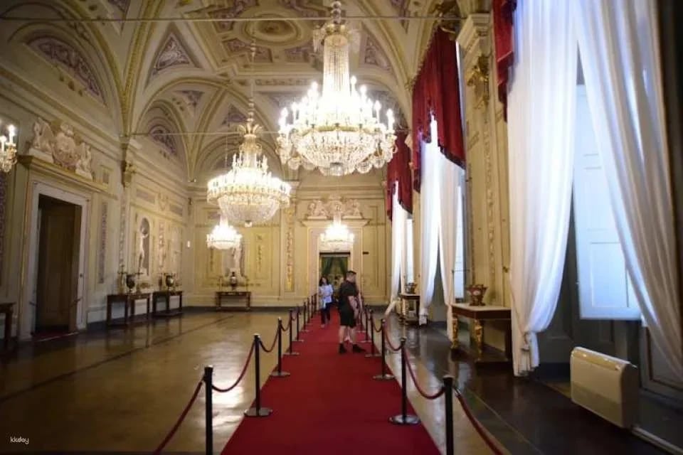 Pitti Palace and Boboli Gardens entrance ticket with eBooks