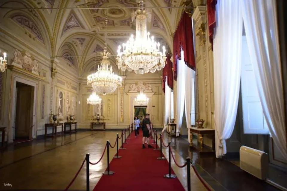 Pitti Palace and Boboli Gardens entrance ticket with eBooks