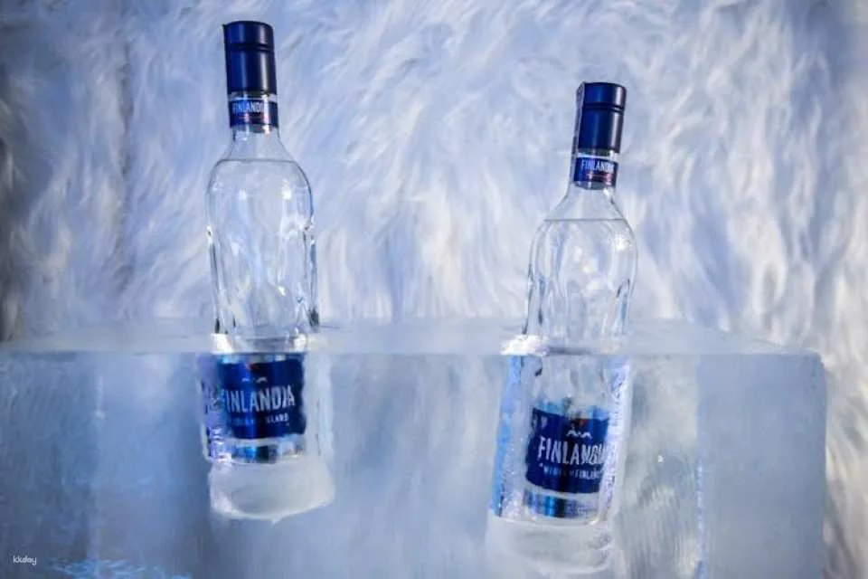 Gdańsk ice bar experience with cocktails and games