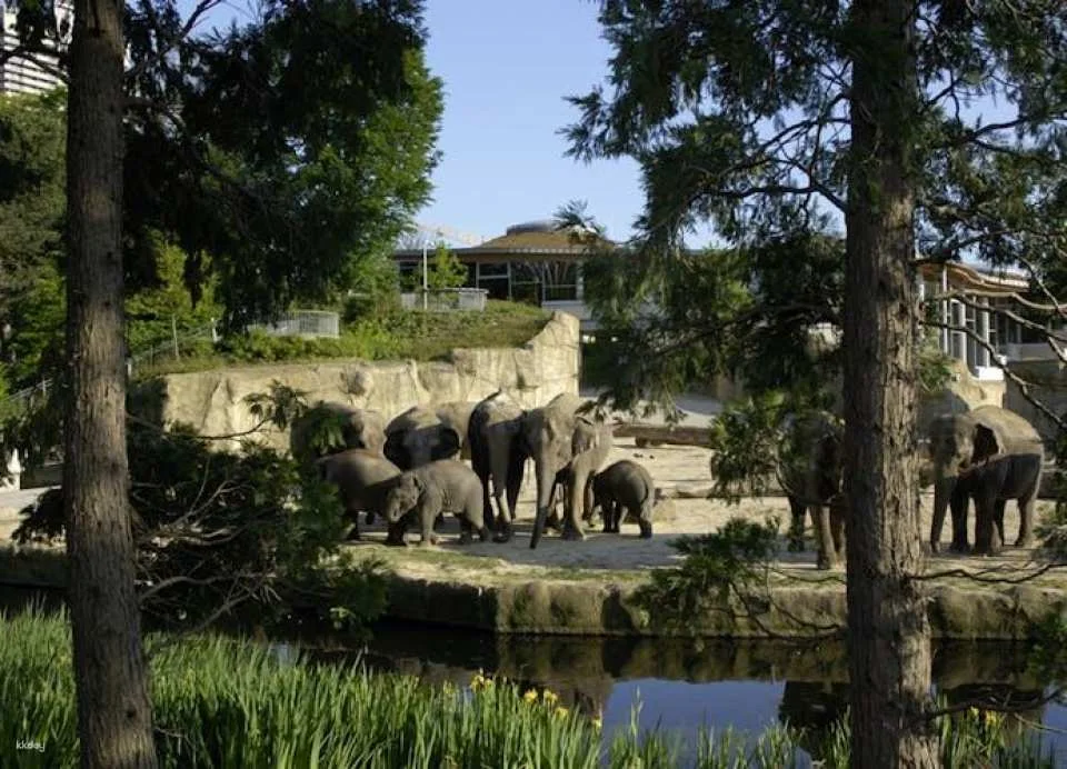 Cologne Zoo tickets with aquarium