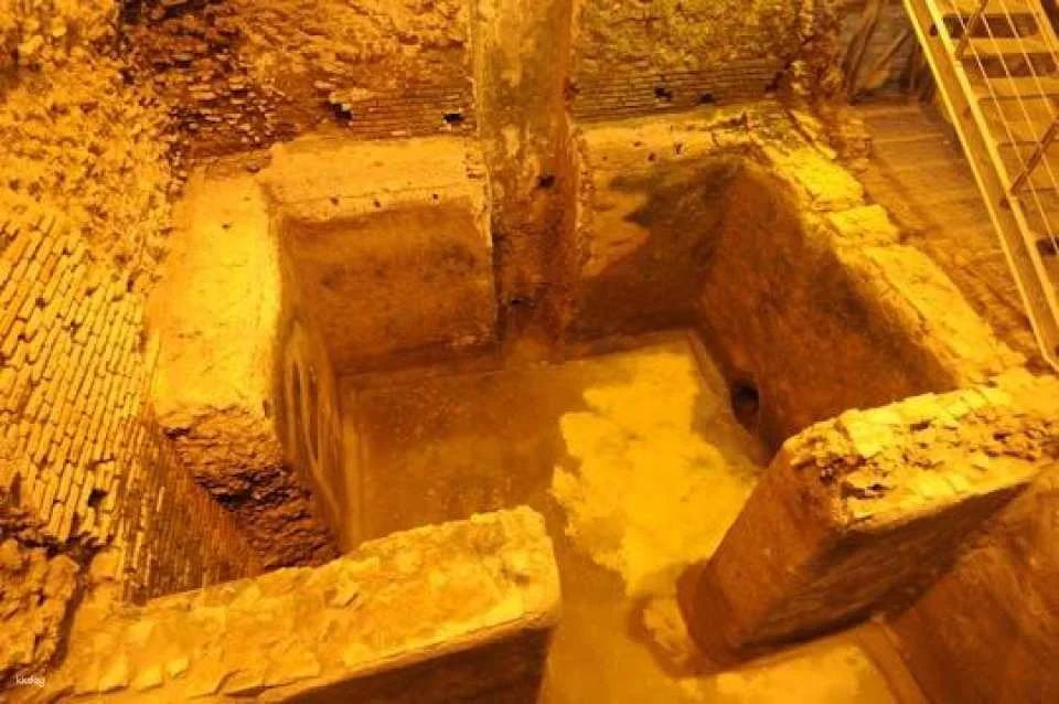 Trevi Fountain and Underground Domus Guided Tour