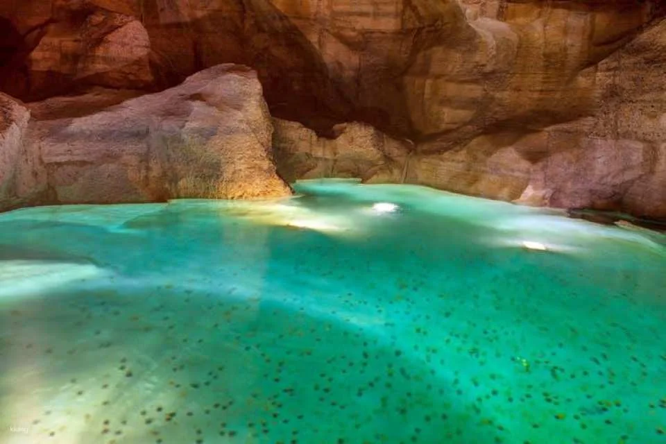 Trevi Fountain and Underground Domus Guided Tour