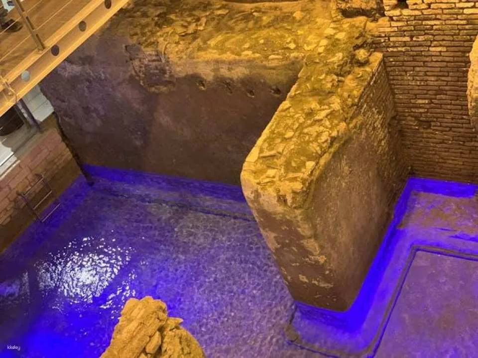 Trevi Fountain and Underground Domus Guided Tour