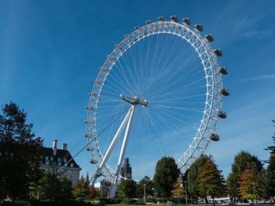 Westminster Walking Tour and London Eye Tickets