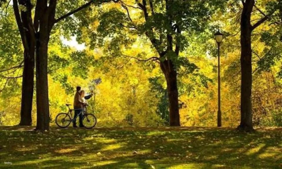 Highlights of Oslo guided bike tour