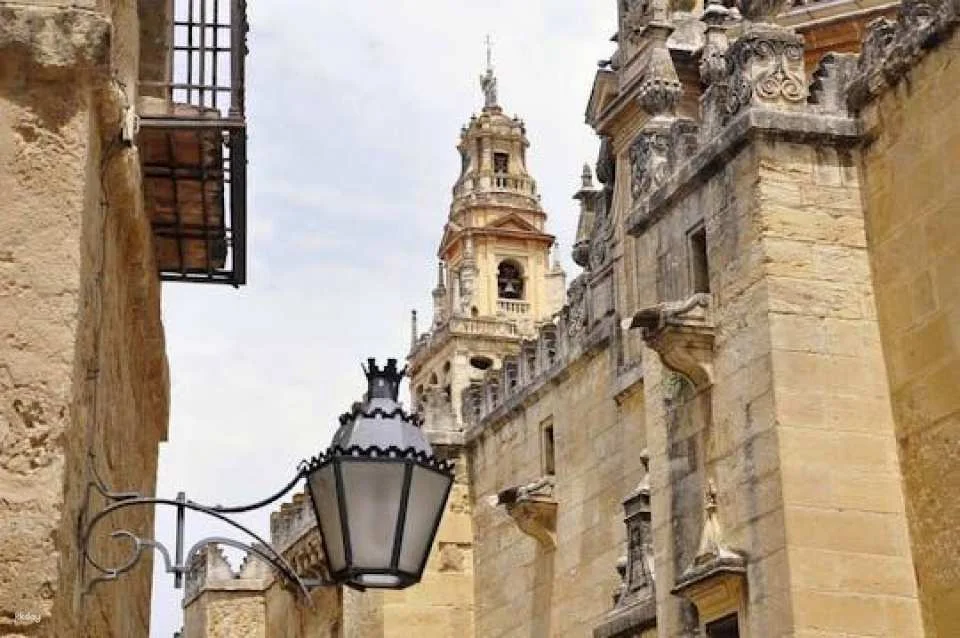 Cordoba Tour with Mosque Visit from Nerja Area
