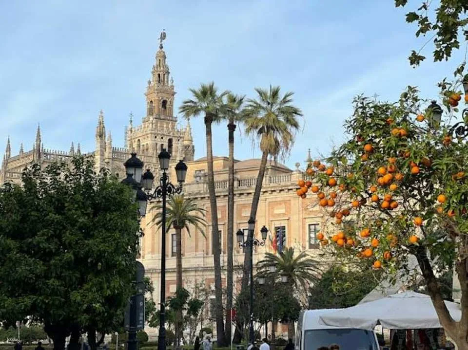 Guided tour of Real Alcázar of Seville, Cathedral and Giralda