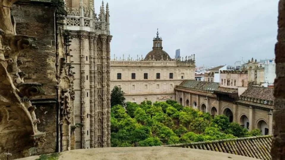 Guided tour of Real Alcázar of Seville, Cathedral and Giralda