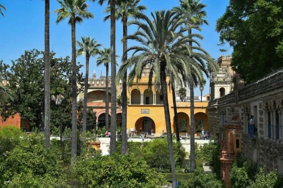 Guided tour of Real Alcázar of Seville, Cathedral and Giralda