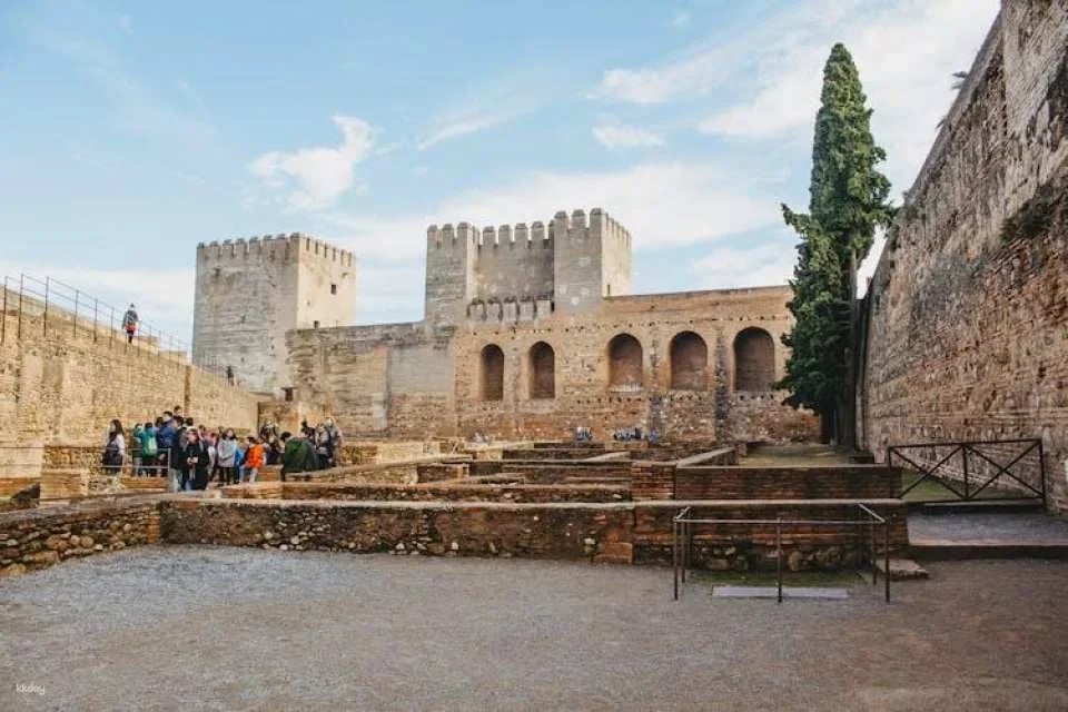Alhambra guided group tour with Nasrid Palaces and Generalife Palace