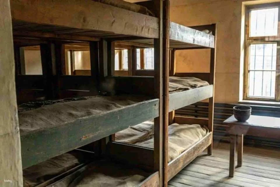 Auschwitz and Birkenau self-guided tour with transfer from Krakow