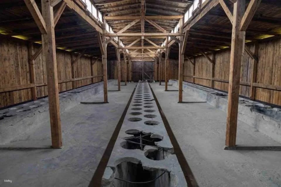 Auschwitz and Birkenau self-guided tour with transfer from Krakow