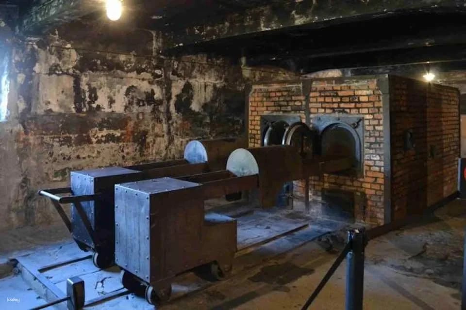 Auschwitz and Birkenau self-guided tour with transfer from Krakow