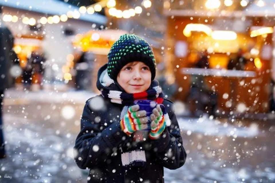 Magical Christmas Atmosphere of Frankfurt Walking Tour