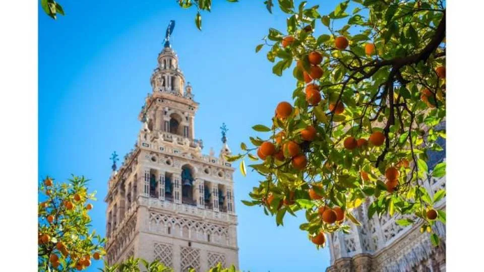 Seville Cathedral skip-the-line tickets and guided tour