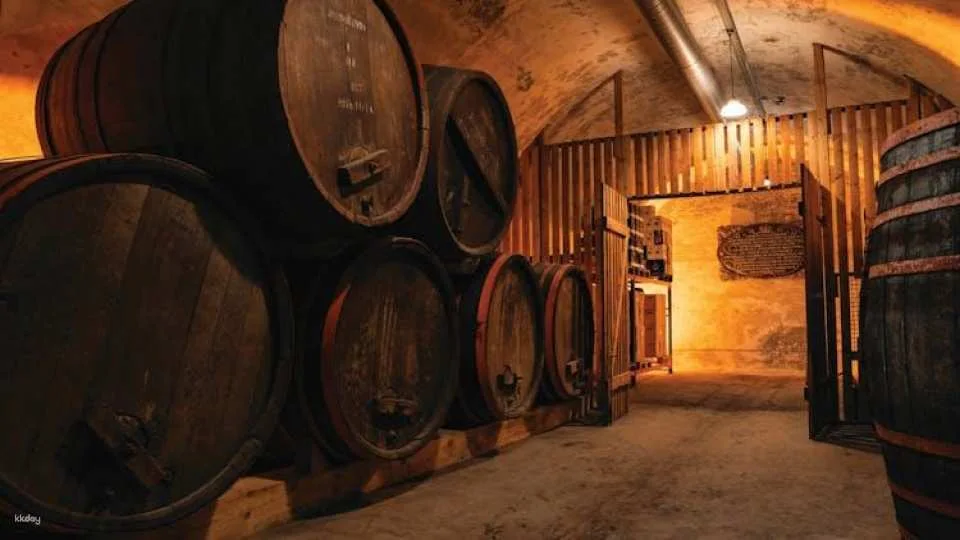 Home of Carlsberg entrance ticket and guided tour of the beer cellars