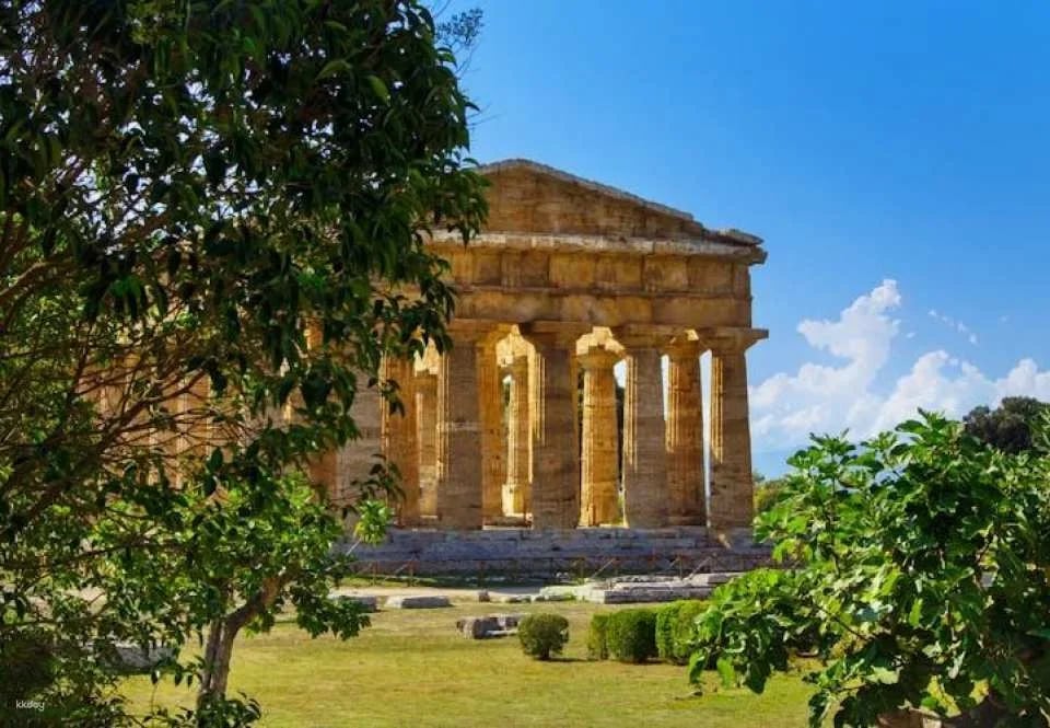 2-hour guided tour in Paestum