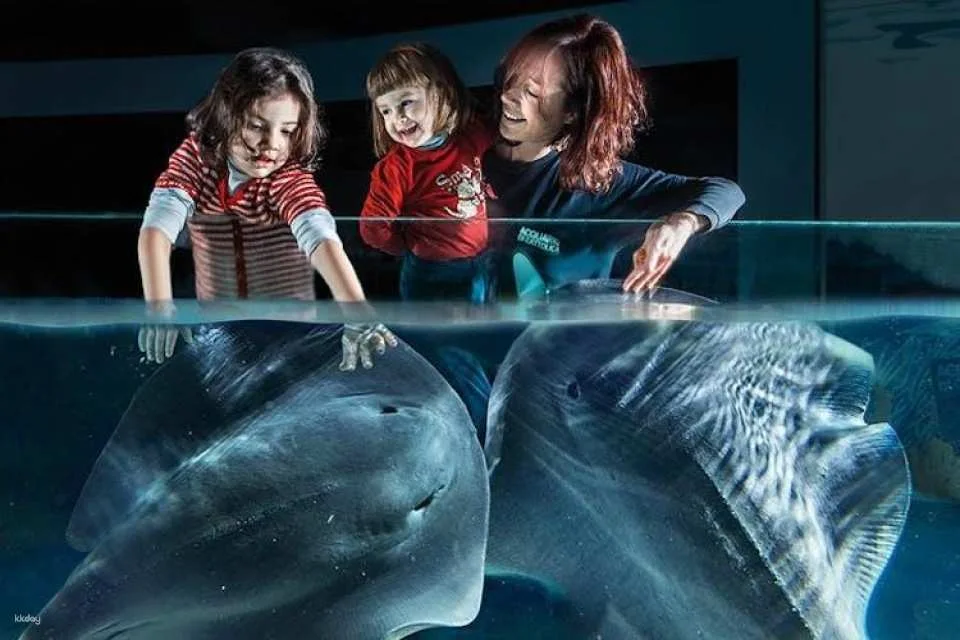 Cattolica Aquarium entrance tickets