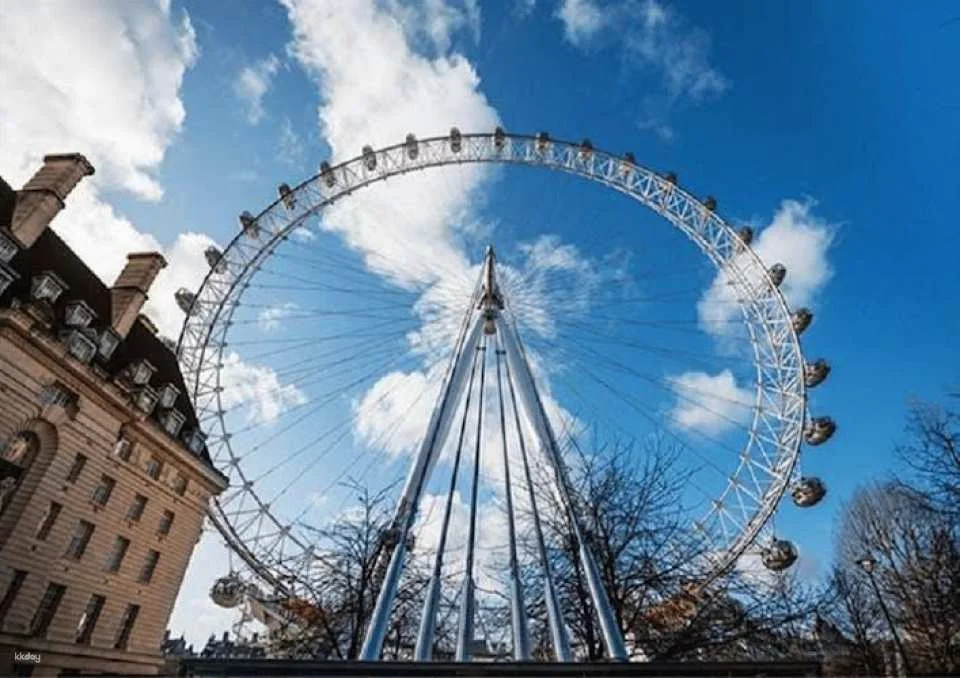 Westminster Walking Tour and London Dungeon Entry