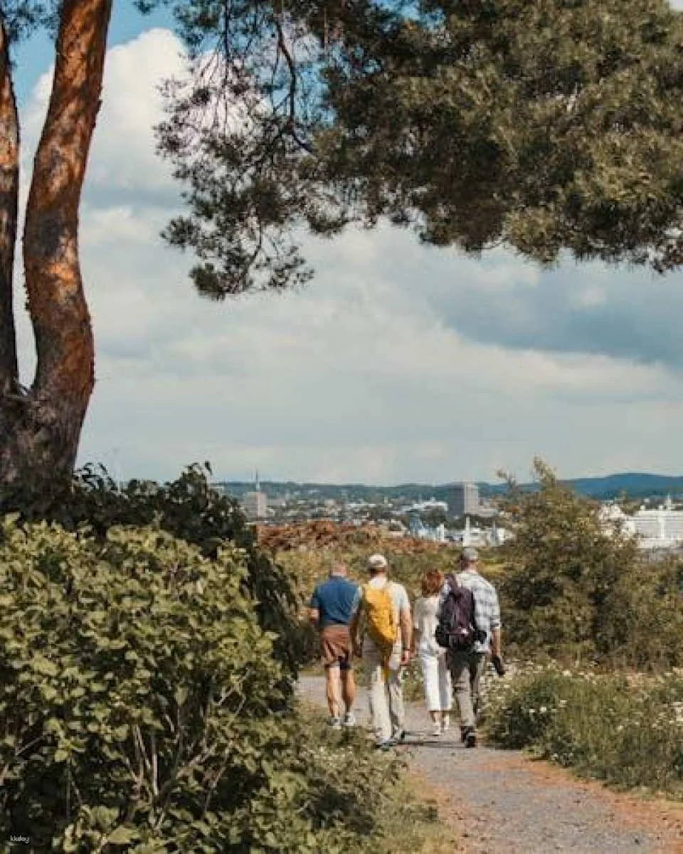 Island hopping in Oslofjord