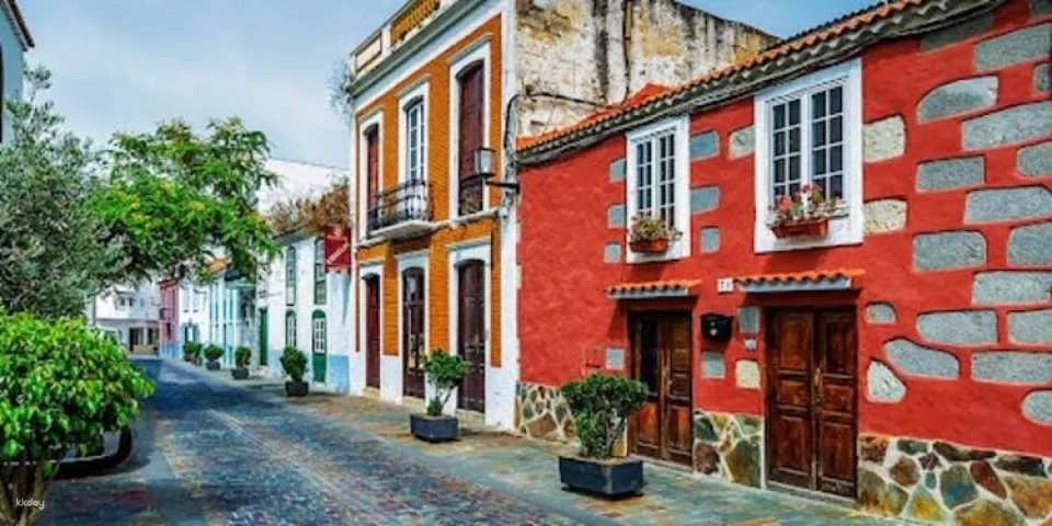 Sunday market tour in Santa Brígida, San Mateo and Teror