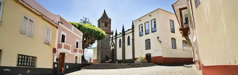 Sunday market tour in Santa Brígida, San Mateo and Teror
