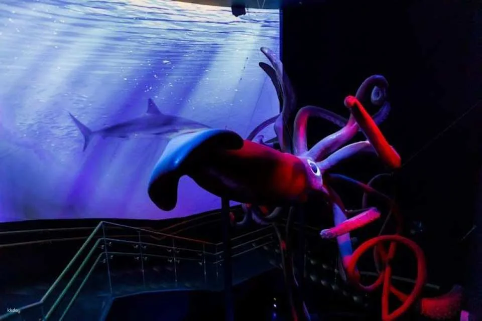 Admission Tickets for the Atlantis Aquarium in Madrid