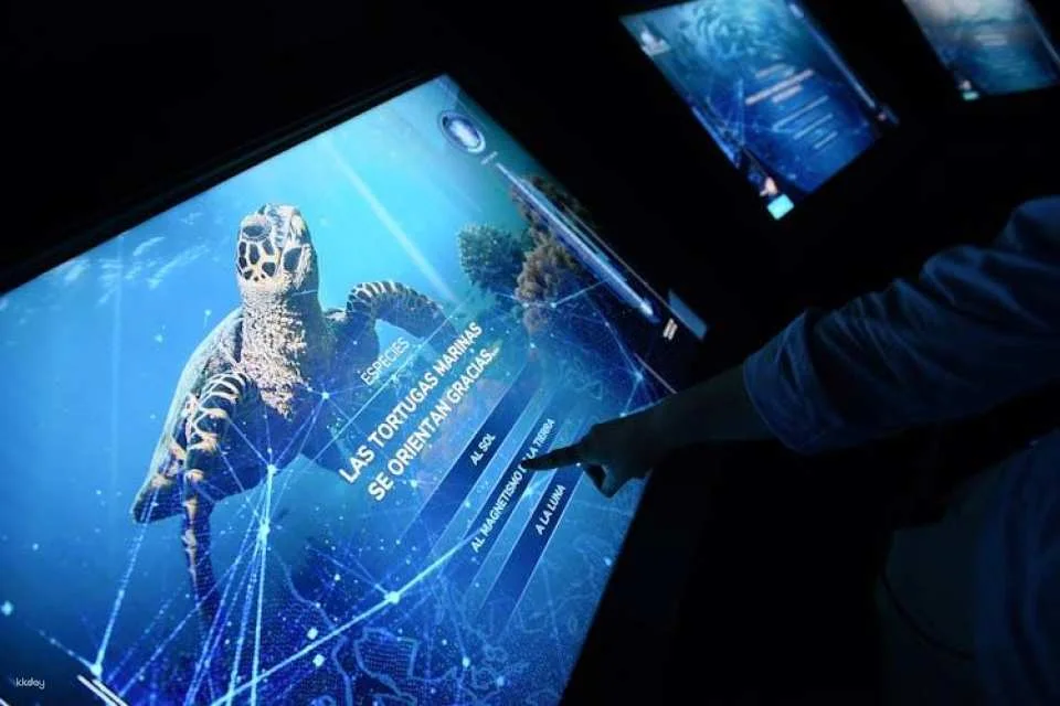 Admission Tickets for the Atlantis Aquarium in Madrid