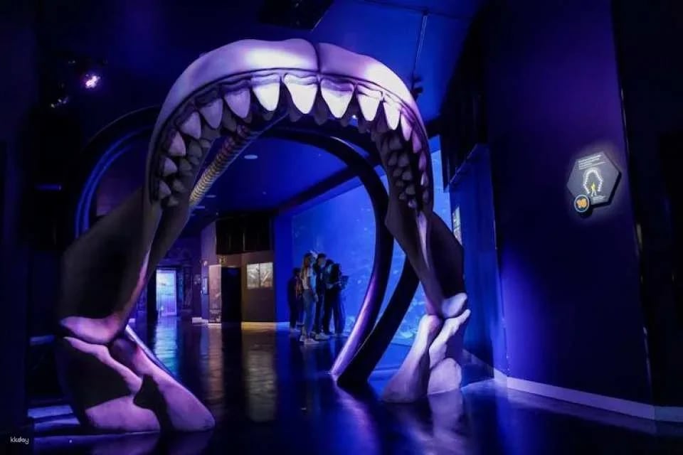 Admission Tickets for the Atlantis Aquarium in Madrid