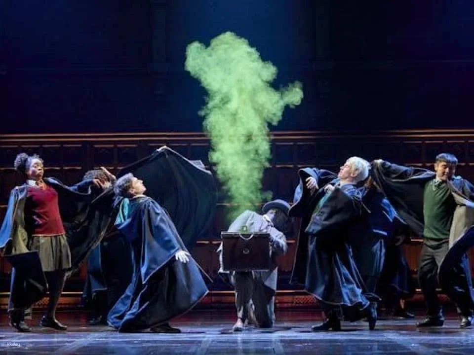 Harry Potter and the cursed child, entry ticket for the Palace Theatre
