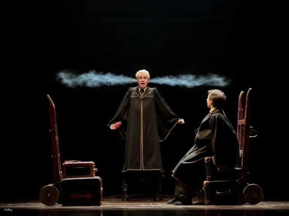 Harry Potter and the cursed child, entry ticket for the Palace Theatre