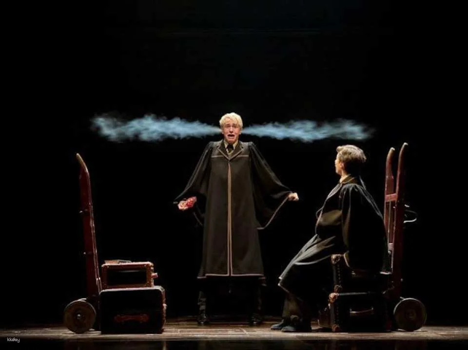 Harry Potter and the cursed child, entry ticket for the Palace Theatre