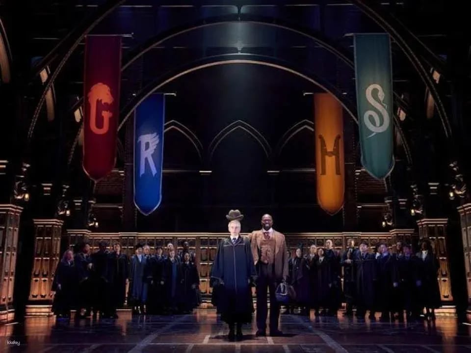 Harry Potter and the cursed child, entry ticket for the Palace Theatre