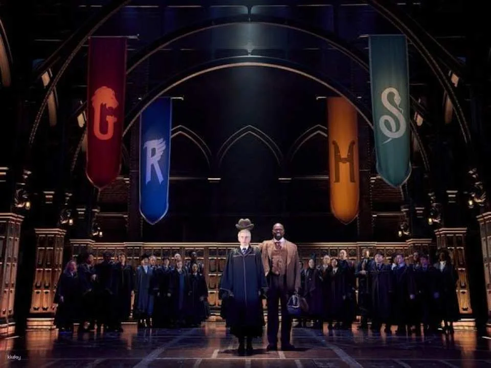 Harry Potter and the cursed child, entry ticket for the Palace Theatre