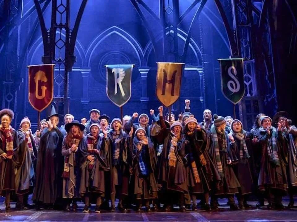 Harry Potter and the cursed child, entry ticket for the Palace Theatre