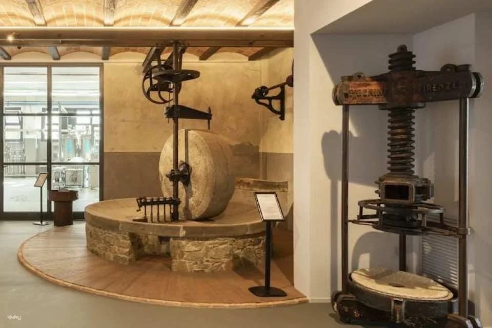 Tuscan Oil Museum and Mill Interactive Tour with Tasting