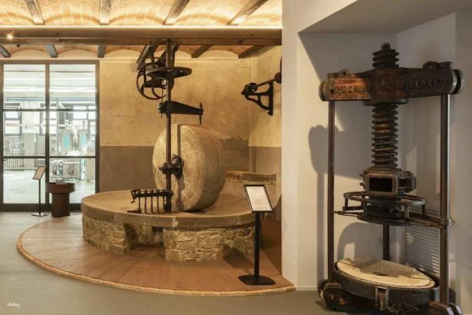 Tuscan Oil Museum and Mill Interactive Tour with Tasting