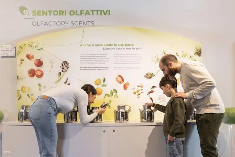 Tuscan Oil Museum and Mill Interactive Tour with Tasting