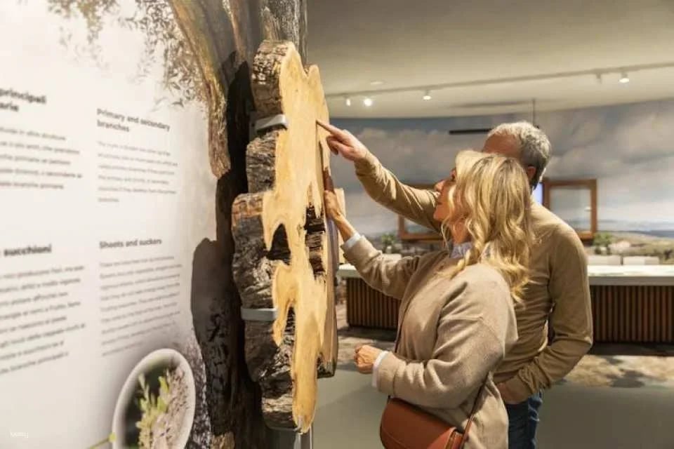 Tuscan Oil Museum and Mill Interactive Tour with Tasting