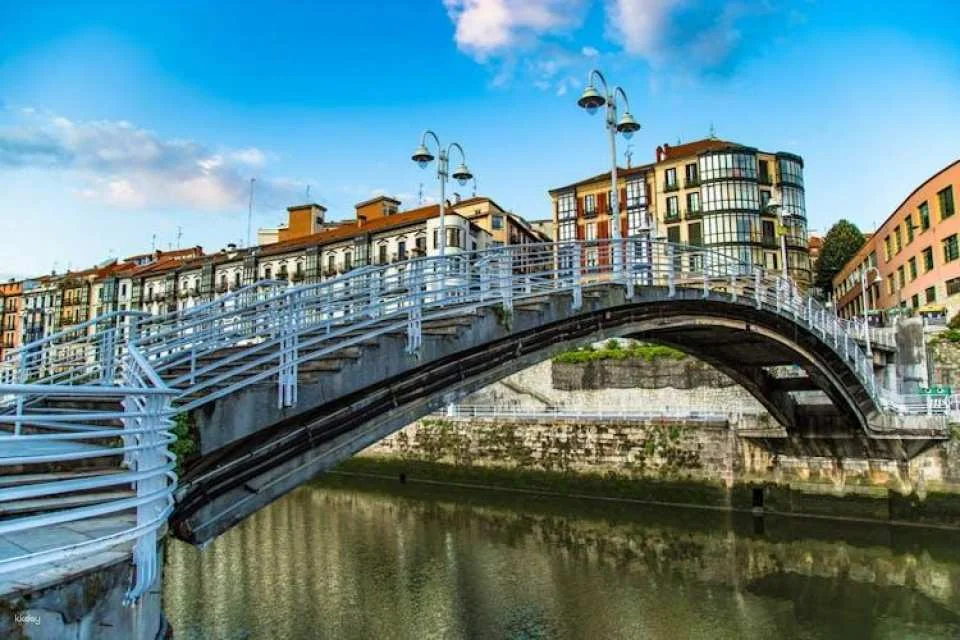 Bilbao and Guggenheim Museum small-group tour from Vitoria