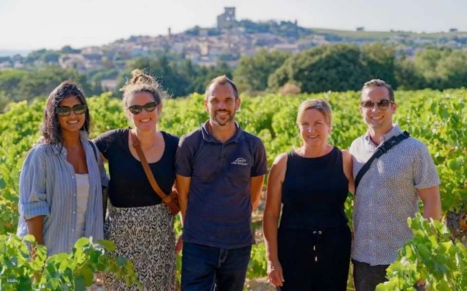 Morning Wine Tour to Châteauneuf-du-Pape from Avignon